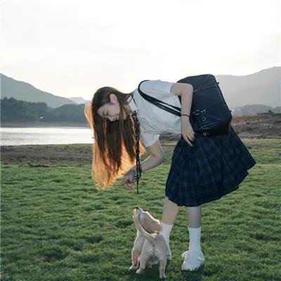 老柿子树