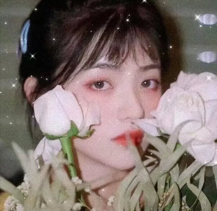 游侠红牡丹